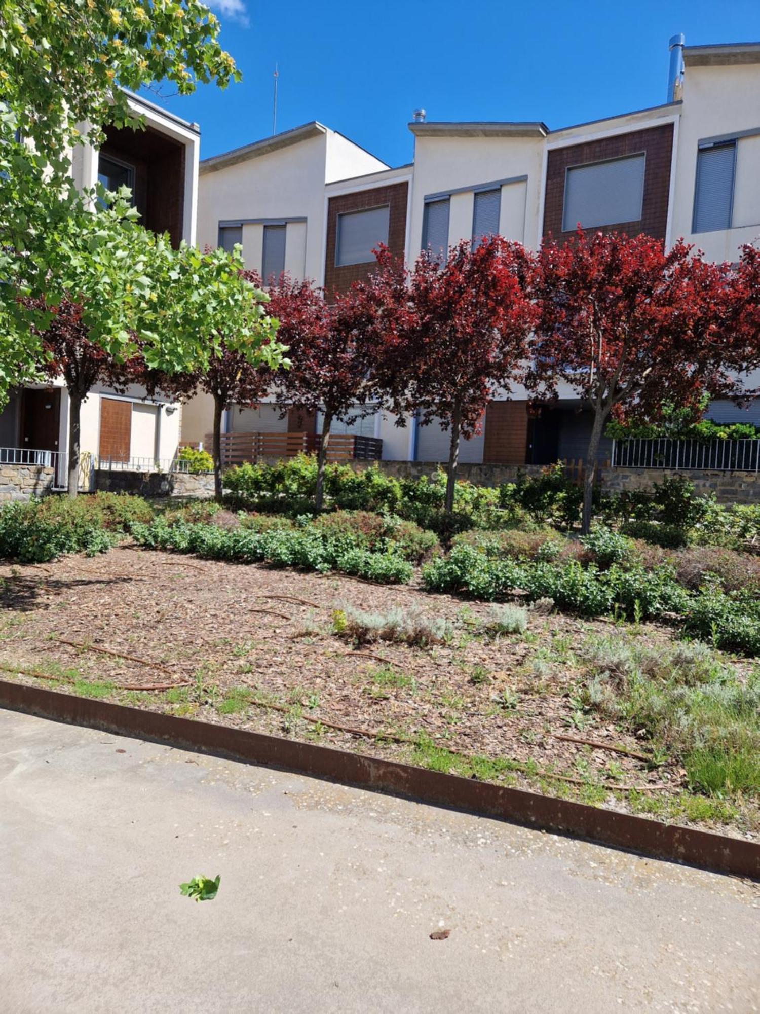 Duplex Gaby Apartamento Sabiñánigo Exterior foto